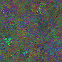 World at epoch 67000