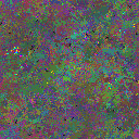 World at epoch 115000