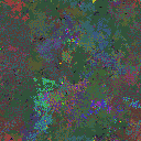 World at epoch 79000