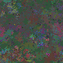 World at epoch 80000