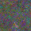 World at epoch 75000