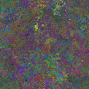 World at epoch 78000