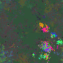 World at epoch 71000