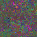 World at epoch 79000