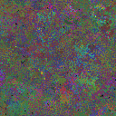 World at epoch 80000