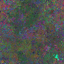 World at epoch 71000