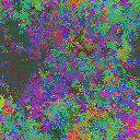 World at epoch 77000