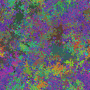 World at epoch 78000