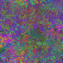 World at epoch 79000