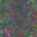 World at epoch 90000