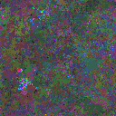 World at epoch 79000