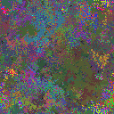 World at epoch 95000