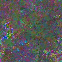 World at epoch 85000