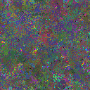 World at epoch 77000
