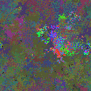 World at epoch 116000