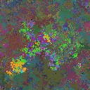 World at epoch 117000