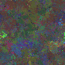 World at epoch 95000