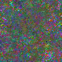 World at epoch 85000