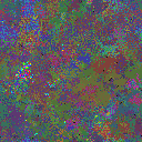 World at epoch 75000