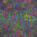 World at epoch 65000