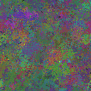 World at epoch 79000