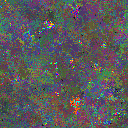 World at epoch 95000