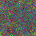World at epoch 70000
