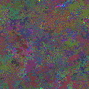 World at epoch 116000