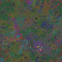 World at epoch 115000
