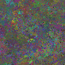 World at epoch 125000