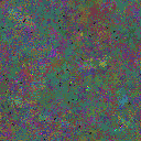 World at epoch 79000