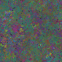 World at epoch 80000