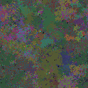 World at epoch 125000
