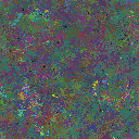 World at epoch 95000