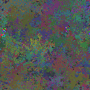 World at epoch 135000