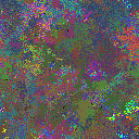 World at epoch 135000