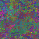 World at epoch 75000