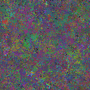 World at epoch 116000
