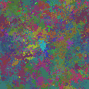 World at epoch 79000