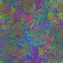 World at epoch 77000