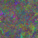 World at epoch 64000