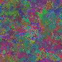 World at epoch 80000