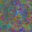 World at epoch 79000
