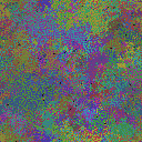 World at epoch 81000