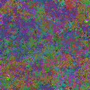 World at epoch 64000
