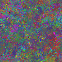 World at epoch 79000