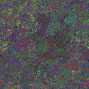 World at epoch 64000