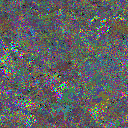 World at epoch 65000