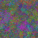 World at epoch 95000