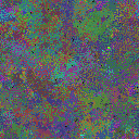 World at epoch 97000